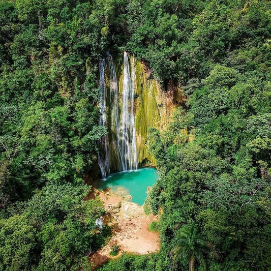 EXCURSION SAMANA