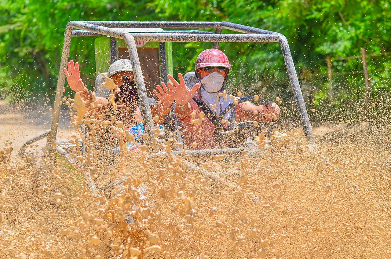Excursion Buggies
